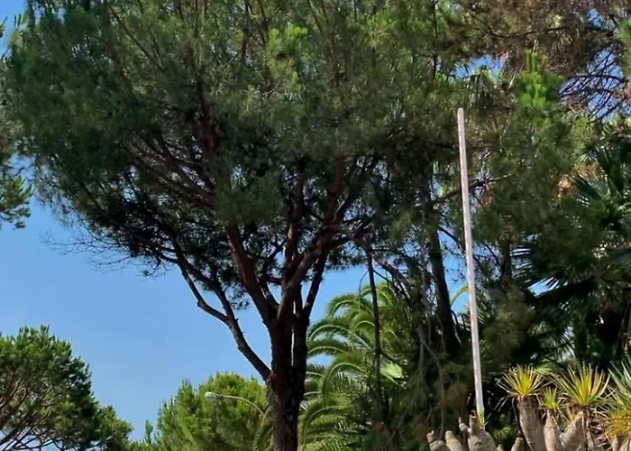 Appartement Beachfront Romana Playa Elviria *